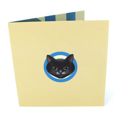 Product images  of 