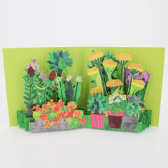 Product images  of 