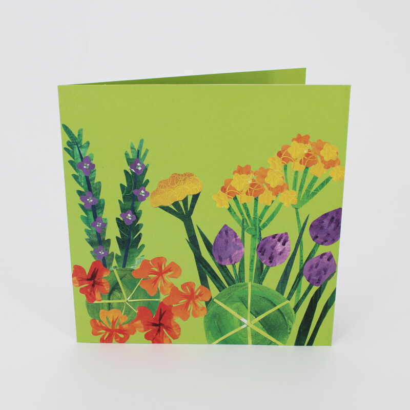 2toTango - Gardens: Herbs - product images  of 