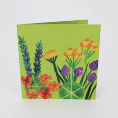 Product images  of 