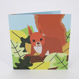 product images  of 