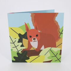 Product images  of 