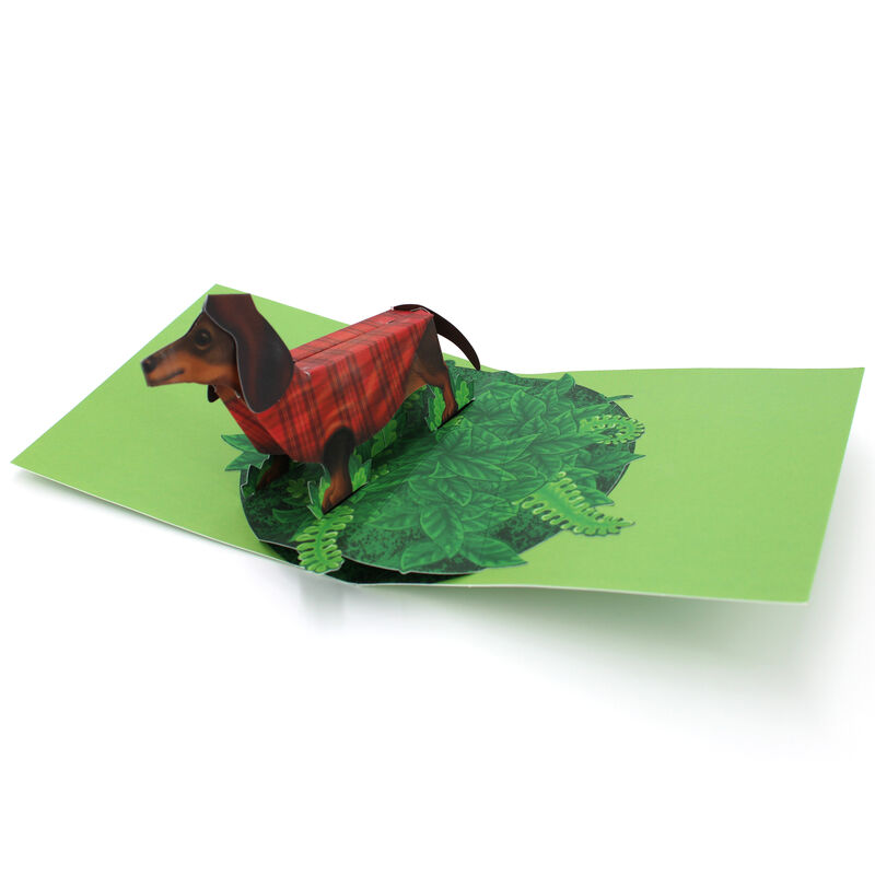 2toTango - Dachshund - product images  of 