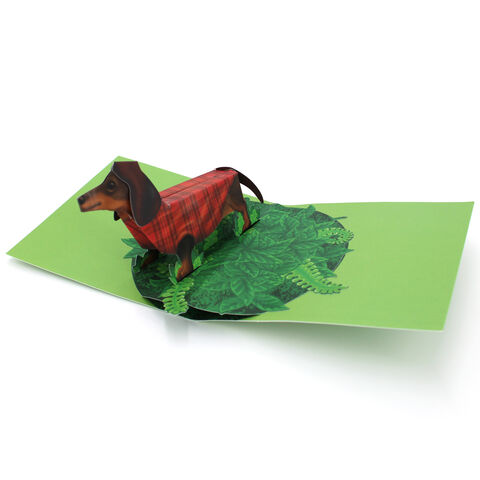 2toTango,-,Dachshund,Pop Ups, Pop up greeting card, Pop up, 2toTango, Dachshund