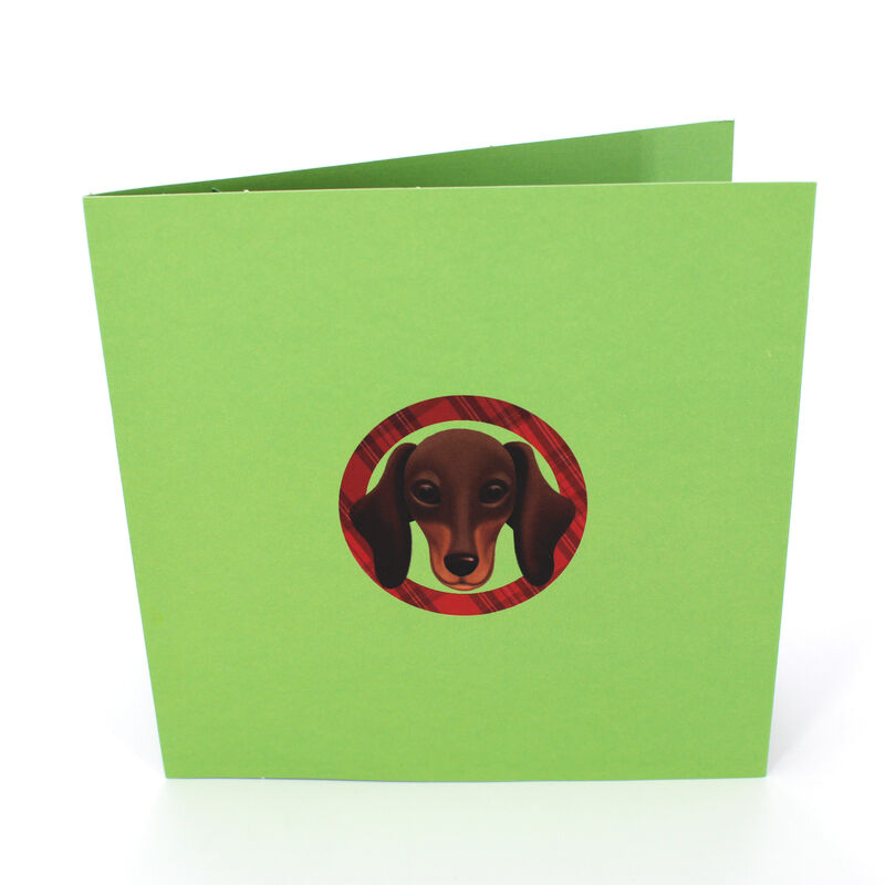 2toTango - Dachshund - product images  of 