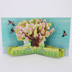 Product images  of 
