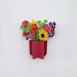product images  of 