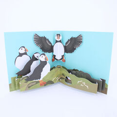 Product images  of 