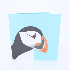 Product images  of 