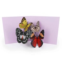 Product images  of 