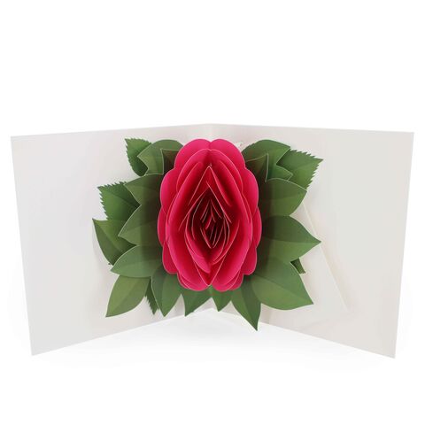 2toTango,-,Simply,A,Rose:,Pink,Pop Ups, Pop up greeting card, Pop up, 2toTango, flower, rose, pink