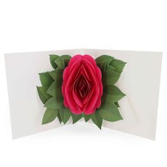 Product images  of 