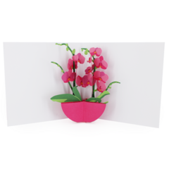 Product images  of 