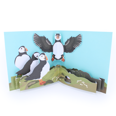 2toTango,-,New,Birds:,Puffins,Pop Ups, Pop up greeting card, Pop up, 2toTango, Birds, Puffins