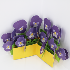 Product images  of 