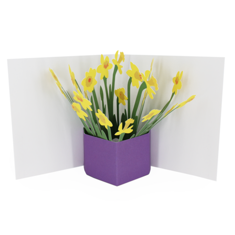 2toTango,-,Flower,Vases,:,Daffodils,Pop Ups, Pop up greeting card, Pop up, 2toTango, flower, vase, daffodils