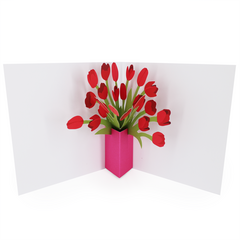 Product images  of 