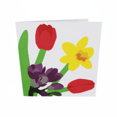 Product images  of 