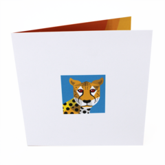 Product images  of 