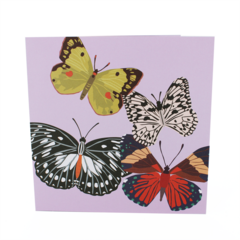 Product images  of 