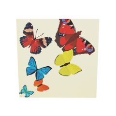 Product images  of 