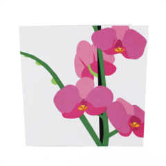 Product images  of 