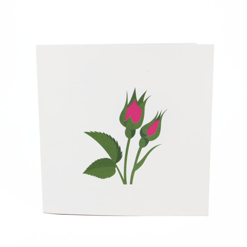 2toTango - Simply A Rose: Pink - product images  of 