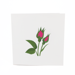 Product images  of 