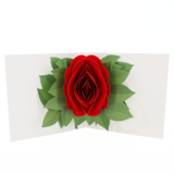 product images  of 