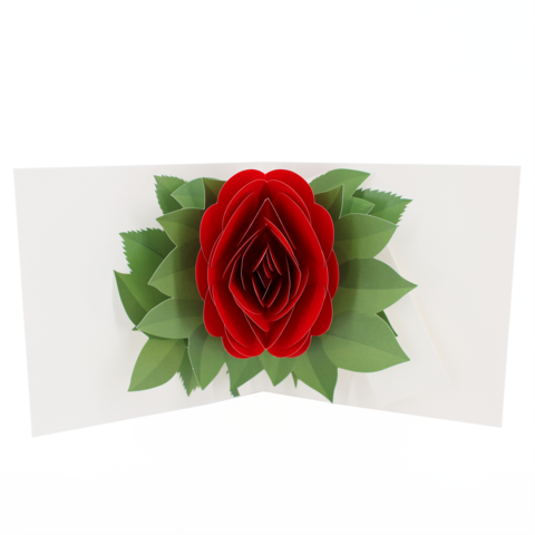 2toTango,-,Simply,A,Rose:,Bright,Red,Pop Ups, Pop up greeting card, Pop up, 2toTango, flower, rose, bright, red