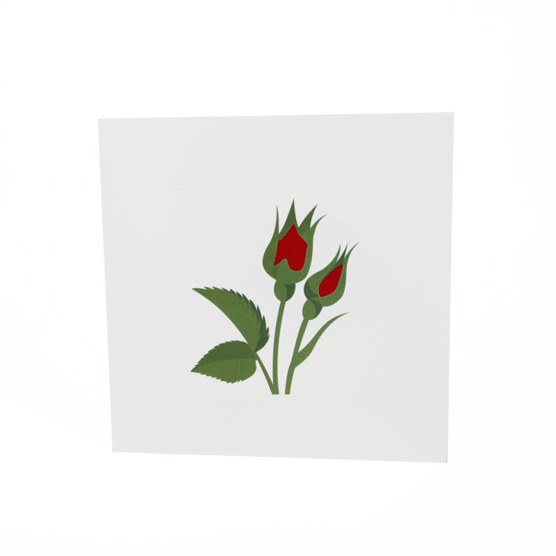 2toTango - Simply A Rose: Bright Red - product images  of 