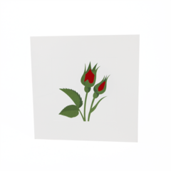 Product images  of 