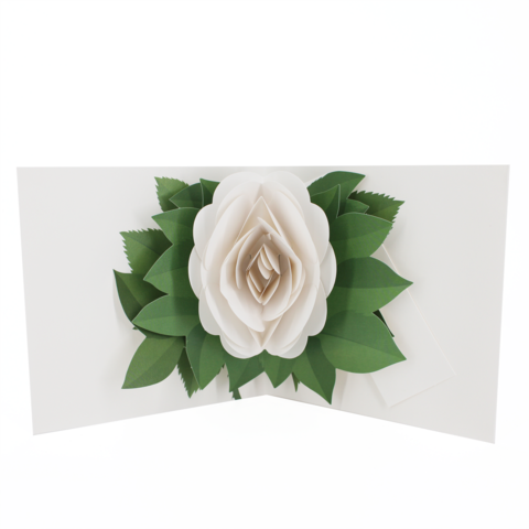 2toTango,-,Simply,A,Rose:,White,Pop Ups, Pop up greeting card, Pop up, 2toTango, flower, rose, white