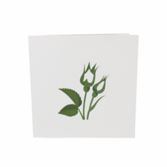 Product images  of 