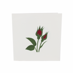Product images  of 