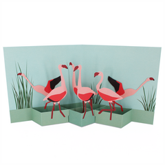 Product images  of 