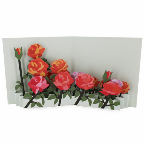 2toTango,-,Flower,Fields:,Roses,Pop Ups, Pop up greeting card, Pop up, 2toTango, Flowers, Roses