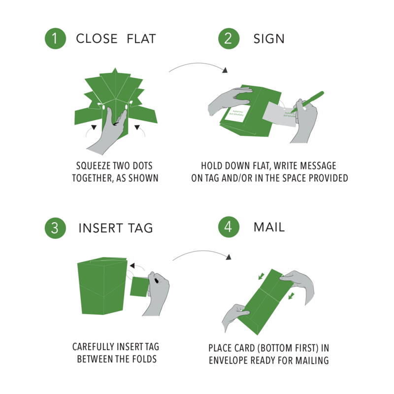 License Pop Ups - Miffy - product images  of 