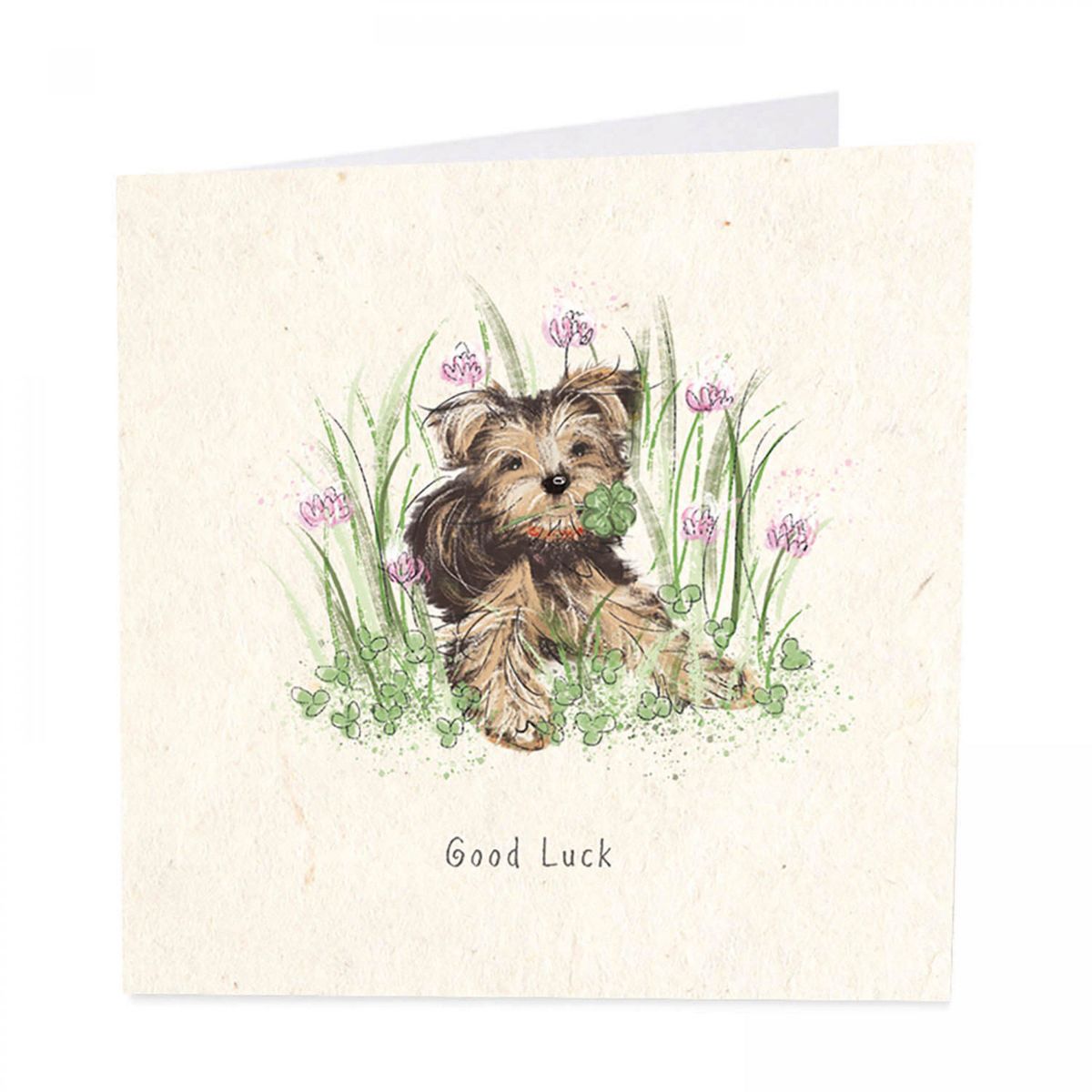 Dog & Clover Good Luck Card Karenza Paperie