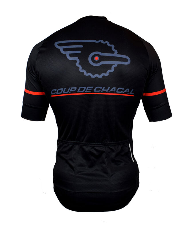 Race Line Jersey - product images  of 