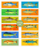 product images  of 
