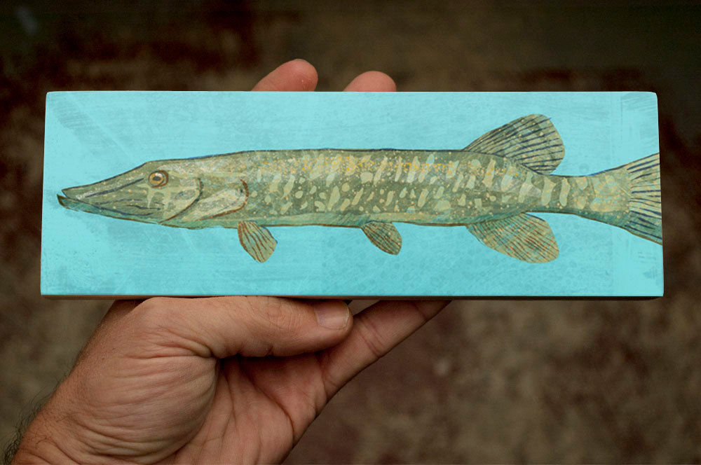 Freshwater Fish Art Medium Art Block - Northern Pike Art Print - 9 in x