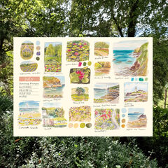 Product images  of 