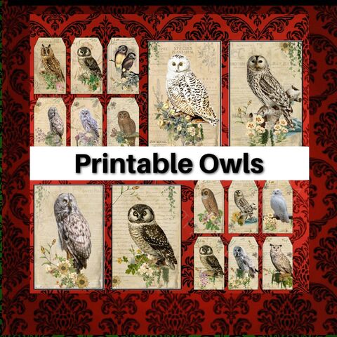 Printable,Vintage,Owls,Ephemera,Tags,Junk,Journal,Cards,Digital,Download,Supply,Owl,Birds,Botanical,Tag,Card,Kit,printable_tags,digital_download,Ephemera_vintage,junk_journal,vintage_tags,journal_kit,vintage_owls,printable_owl,owl_clip_art,owl_journal,owl_tags,vintage_bird