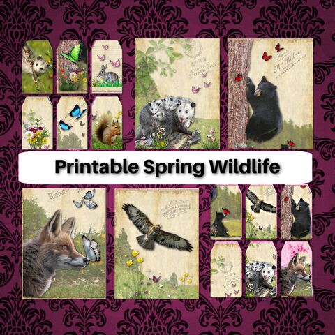 Printable,Spring,Woodland,Wildlife,Vintage,Ephemera,Tags,Junk,Journal,Cards,Mid,West,Digital,Download,Supply,Botanical,Tag,Card,Kit,printable_tags,digital_download,Ephemera_vintage,junk_journal,vintage_tags,journal_kit,vintage_tag,printable_wildlife,deer_tags,woodland_clip_art,deer_clip_art,woodland_journal