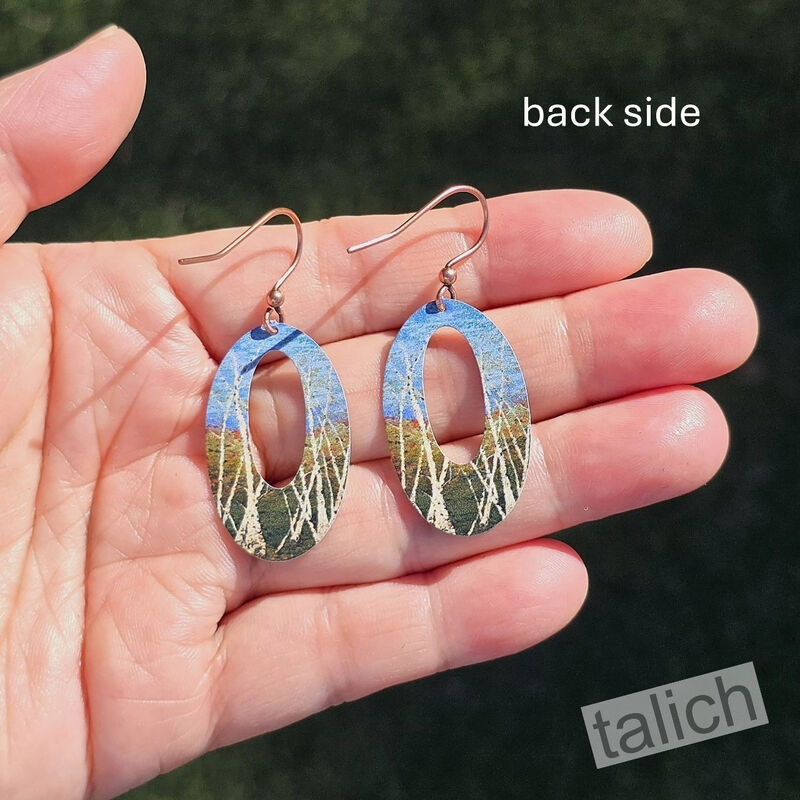 DC Designs - Winter Aspen Open Oval Earrings - product image 